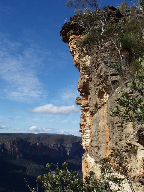 overhangng wind sculpted sandstone cliffs on the grose valley, blue mountains national park