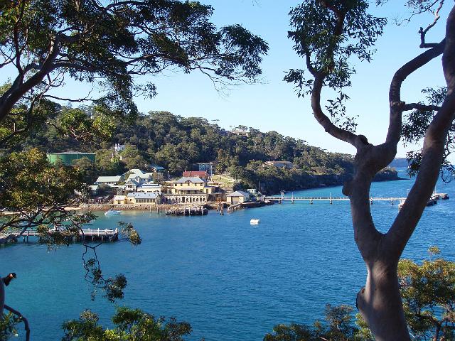 a view through the trees of chowder bay, sydney harbour