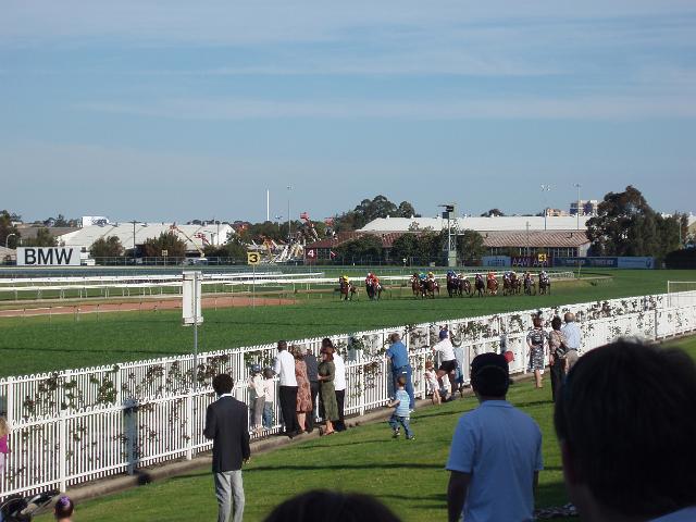horses racing on the rose hill race track, sydney, new south wales - not model relased