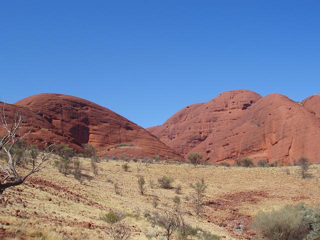 giant red dome shaped rocks formations of sandstone composite stone kata tjuta