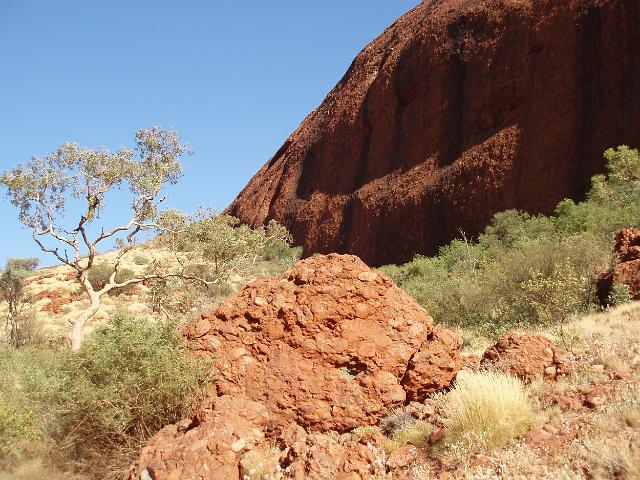 a piece of conglomerate rock showing the granite and basalt with sandstone matrix of which kata tjuta and uluru are formed in australis red centre