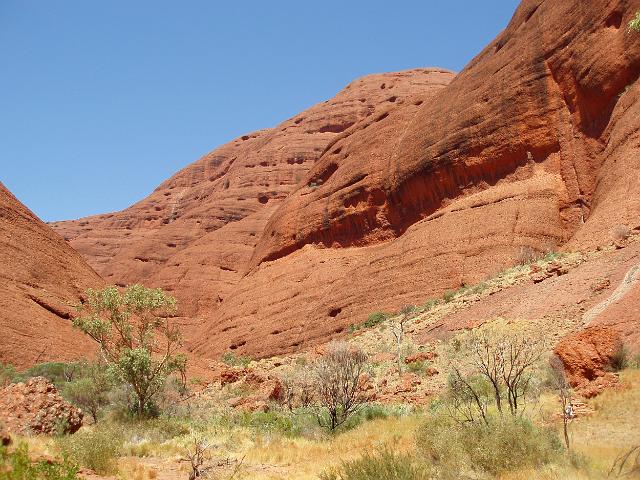 red sandstone rock formations contrasting against a clear blue desert sky, kata tjuta uluru national park