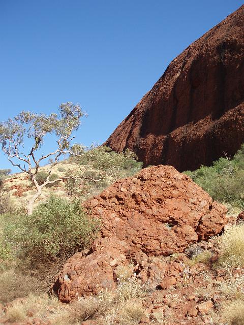 close up on a piece of conglomerate rock composed of granite and basalt of which kata tjuta and uluru are formed