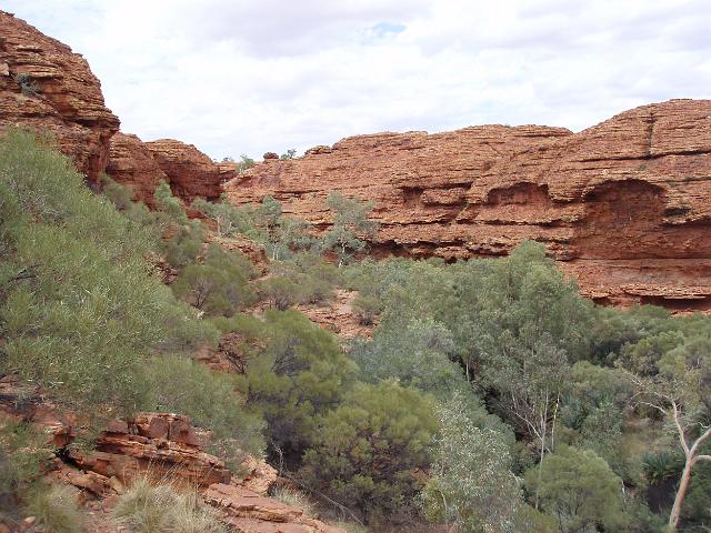 a view kings canyon in an area known as the garden of eden