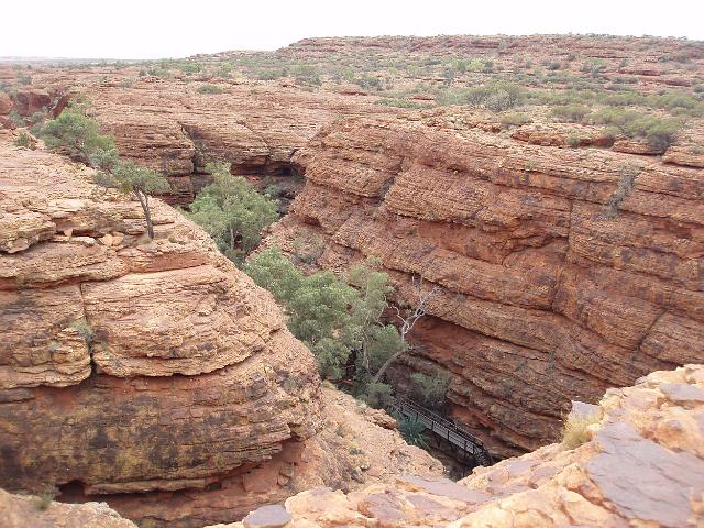 looking down from the rim of kings canyon to the so called garden of eden far below. Watarrka national park, NT, australia