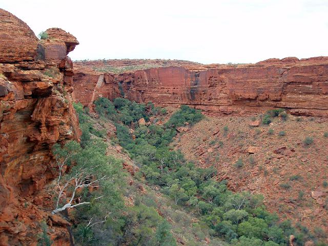 a view of the sheer vertical cliffs on the rim of kings canyon, NT