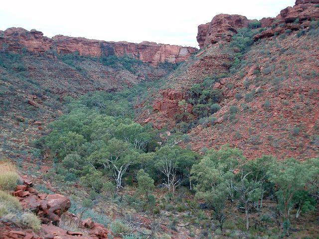 steep sided cliffs and sheltered valley of kings canyon, NT