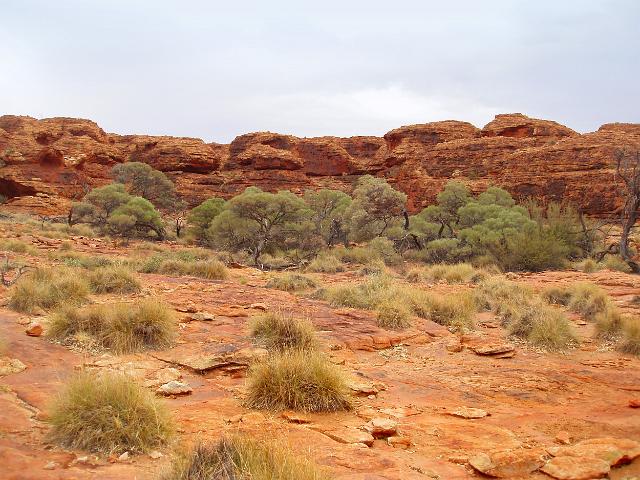 the lost city is a series of weathred rock domes near kings canyon, Watarrka national park, Australia