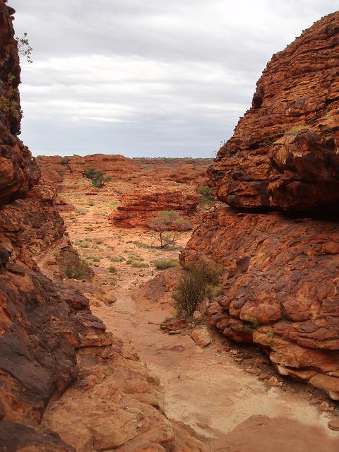 the lost city is a series of weathred rock domes on the rim of kings canyon, Watarrka national park, Australia