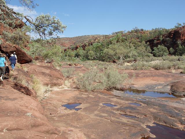almost dry river bed of the finke river in palm valley