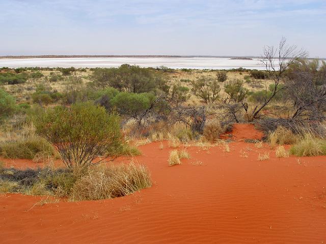 bright red orange coloured sand forming a dune in australis red centre desert with a salt flat beyond