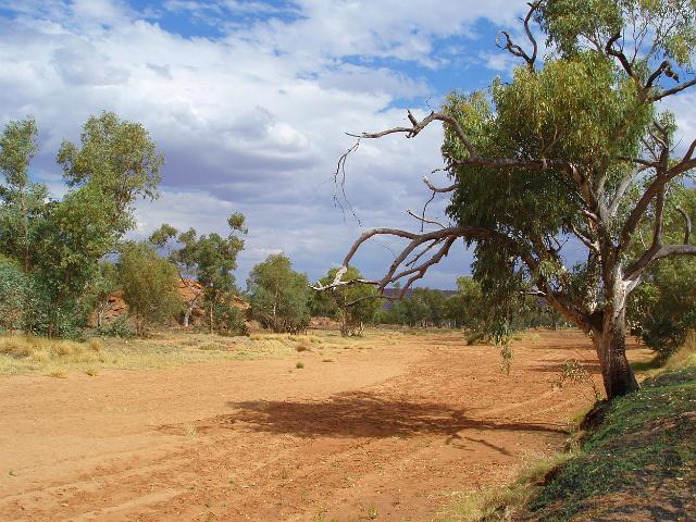 the dry sandy riverbed of the todd river near alice springs, NT