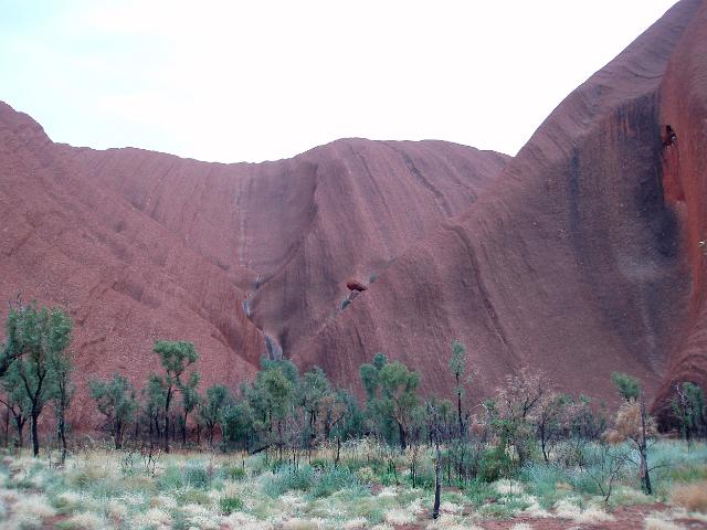 a view of uluru - ayres rock from the kuniya walk near the mutitjulu waterhole