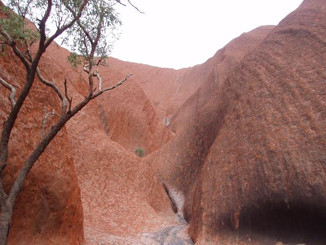 water eroded sandstone on the base of uluru where water runs from the rock to feed the mutitjulu waterhole