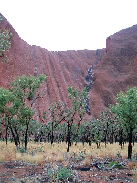 towering red cliffs at the base of ayres rock