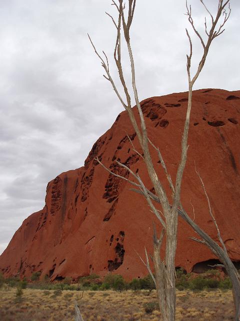 a view from the walking track around the base of uluru
