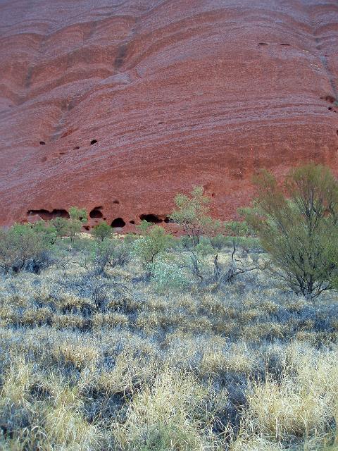 a wet day at uluru, lines of rock highlighted by glistening drops of water - ayres rock
