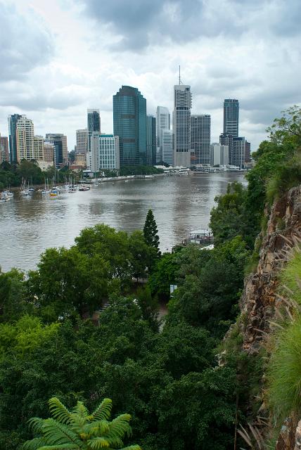 View across lush tropical vegetation of the buildings and modern architecture of Brisbane CBD on the skyline from Kangaroo Point