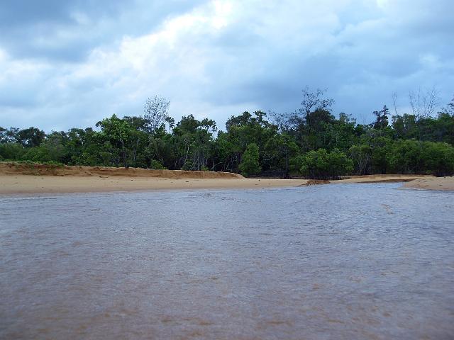 water running from a coastal mangrove after heavy rain