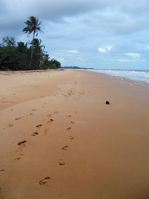 looking along the beach front at mission beach, FNQ