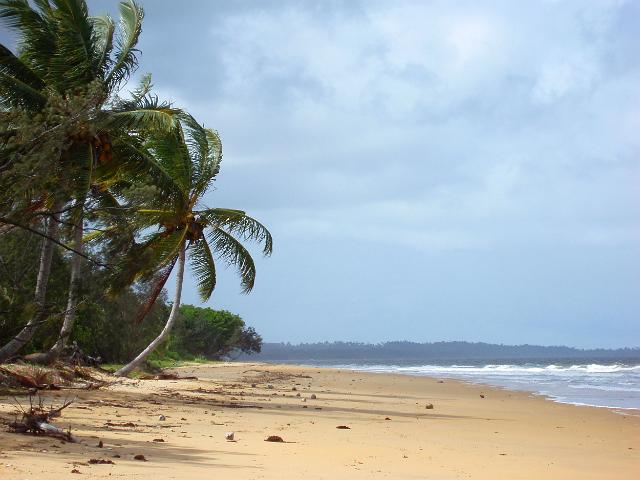 sandy beach, surf and palm trees at mission beach, FNQ