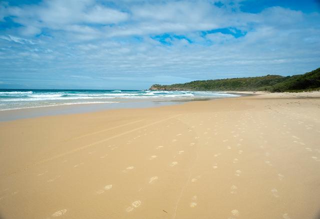 View of a beautiful sandy beach with footprints leading away across the sand at Alexandria Bay, Australia on a hot tropical summer day