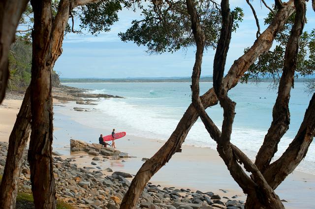 View between tree trunks onto the sandy beach with surfers carrying their surfboards at Granite Bay, Noosa , Queensland, Australia