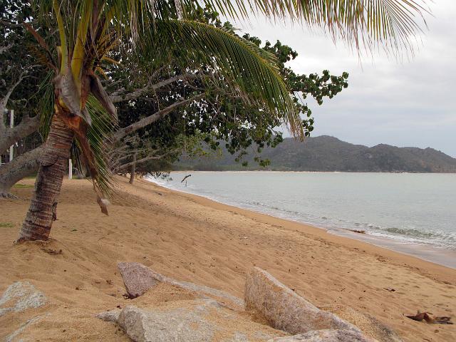 the beach at horseshoe bay, magnetic island, north queensland
