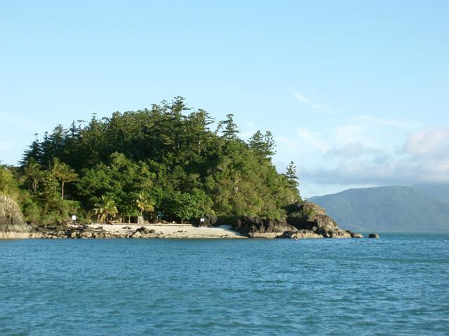 coral beach on daydream island, whitsundays, viewed from the water