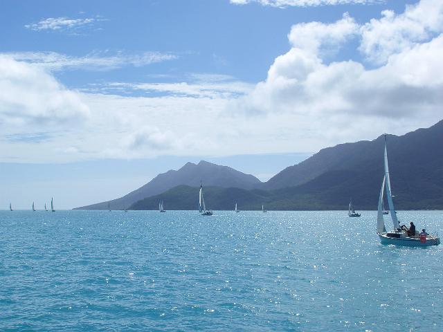 boats sailing around gloucester island during a yacht race