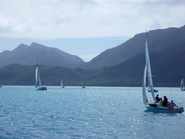 a fleet of boats sailing at gloucester island, north queensland