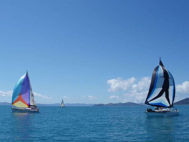sailing yachts with colorful spinnakers sailing in the whitsunday islands