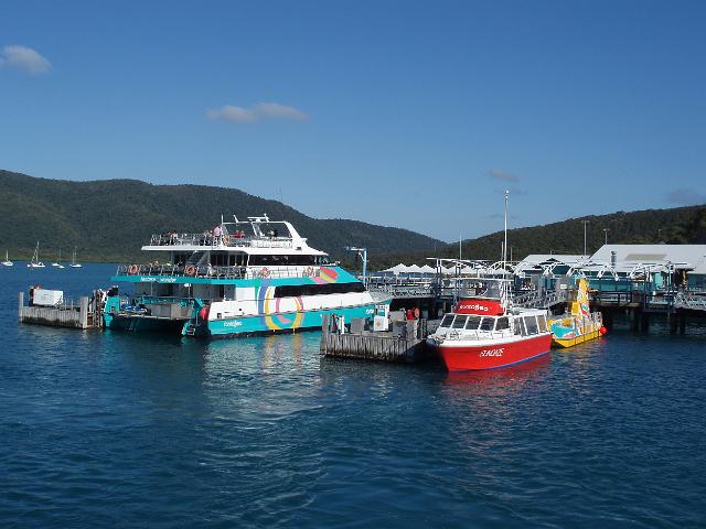 boats in the ferry terminal at shute harbour