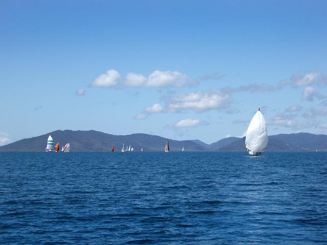 a fleet of boats sailing in the airle beach race week