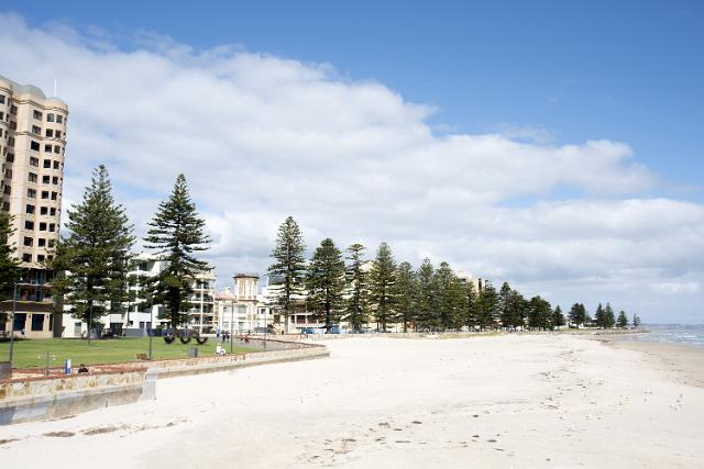 The deserted sandy tropical beach at Glenelg, Adelaide, South Australia overlooked by apartment buildings and a row of pine trees