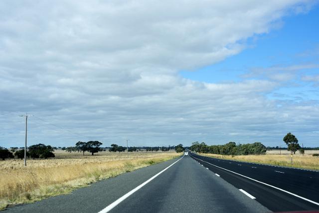 Receding view along Dukes Highway, South Australia passing through flat open grassland dotted with sparse trees under a cloudy blue sky
