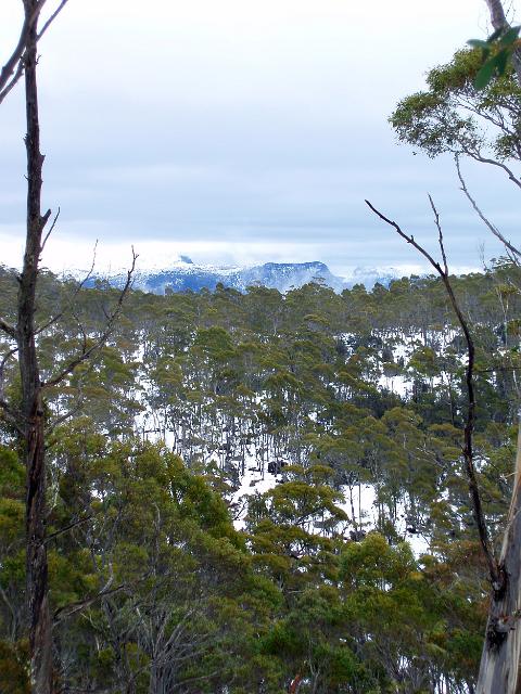 a tasmanian winter landscape from the walls of jerusalem national park