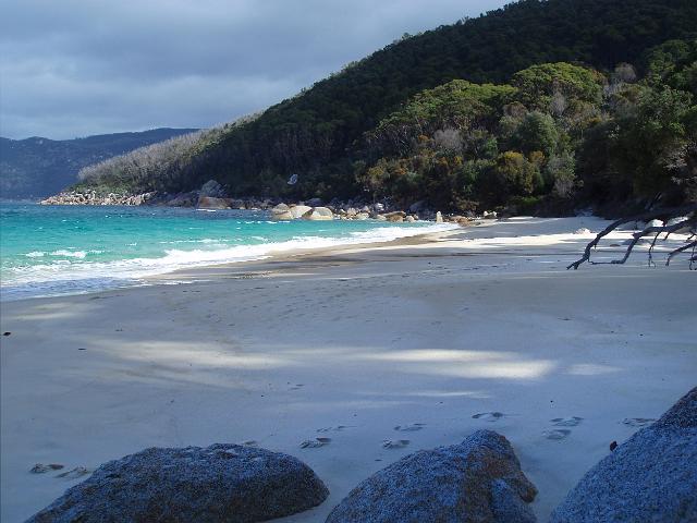 sandy beach at little waterloo bay, wilsons promontory national park, victoria