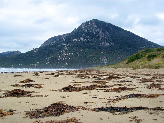 mountains standing tall over oberon bay, wilsons prom
