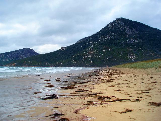long straight sandy beach at oberon bay, wilsons promontory, victoria, australia