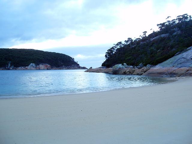 blue early morning light at sealers cove, wilsons promontory national park