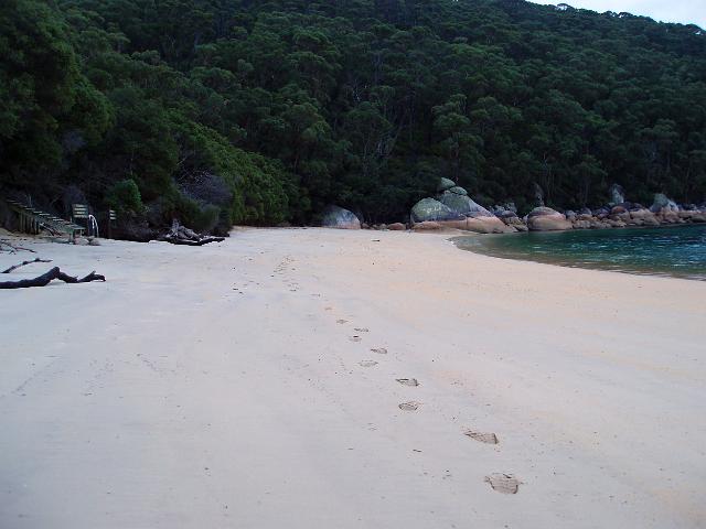 a lone pair of foot prints on the beach at refuge cove, wilsons prom