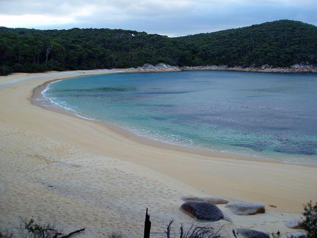 beautiful turquoise waters at refuge cove, wilsons promontory