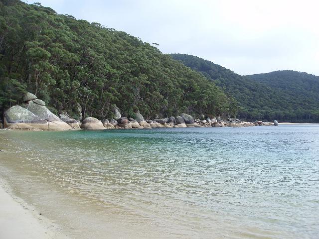 calm waters and a sandy beach at refuge cove, wilsons promontory, victoria