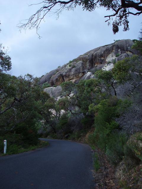 a view from the road up to telegraph saddle, wilsons promontory