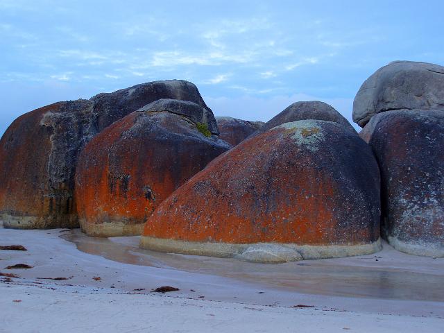 red orange lichen covered rocks at squeaky beach, wilsons promontory