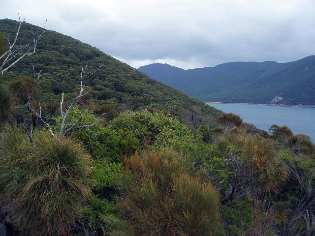 looking back towards sealers cove from the footpath to refuge cove, wilsons promontory