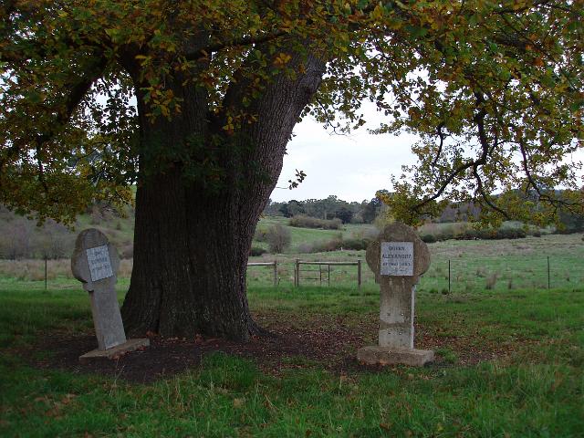 stone memorials for king edward and queen alexandra once standing beside two trees