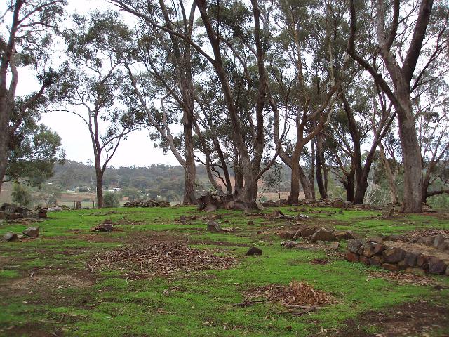 historic childrens cemetery at pennyweight flat, castlemaine,