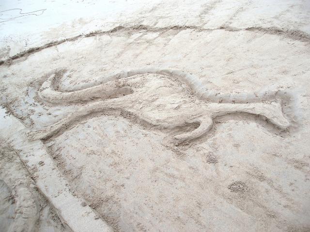 a kangaroo shape drawn in the sand on a beach